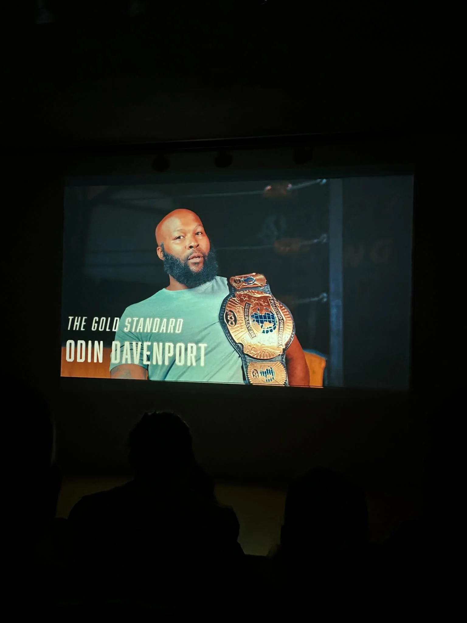 Odin Davenport projected on a theater screen during the MOCA Jacksonville premiere