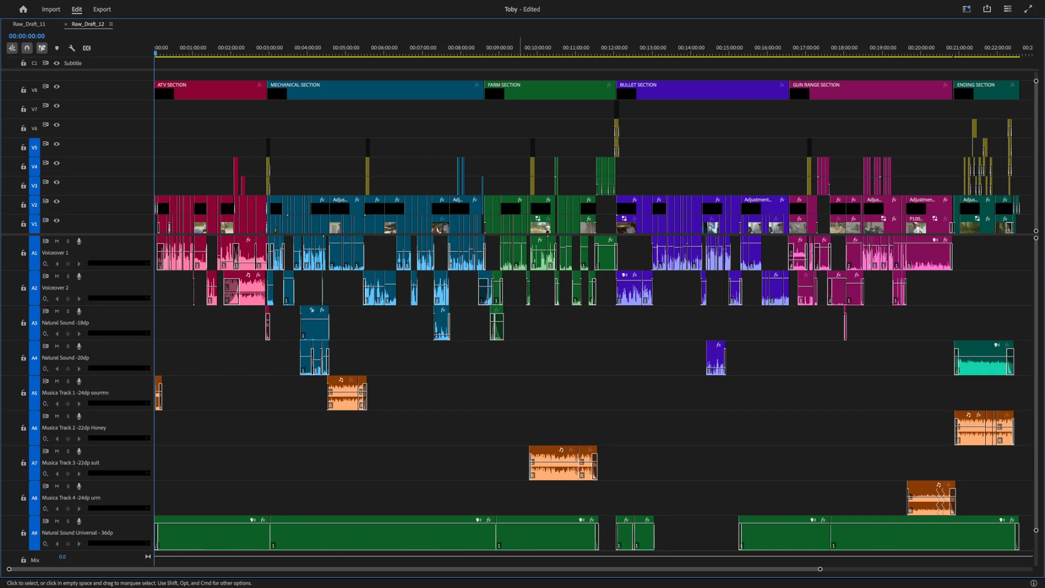 Adobe Premiere Pro timeline for This Guy Called Toby